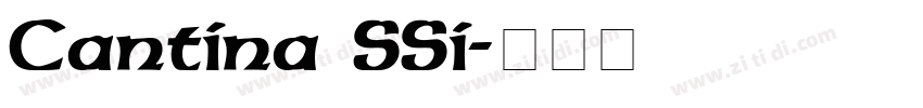 Cantina SSi字体转换